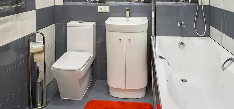 Hansgrohe Shaving Mirror Menifee